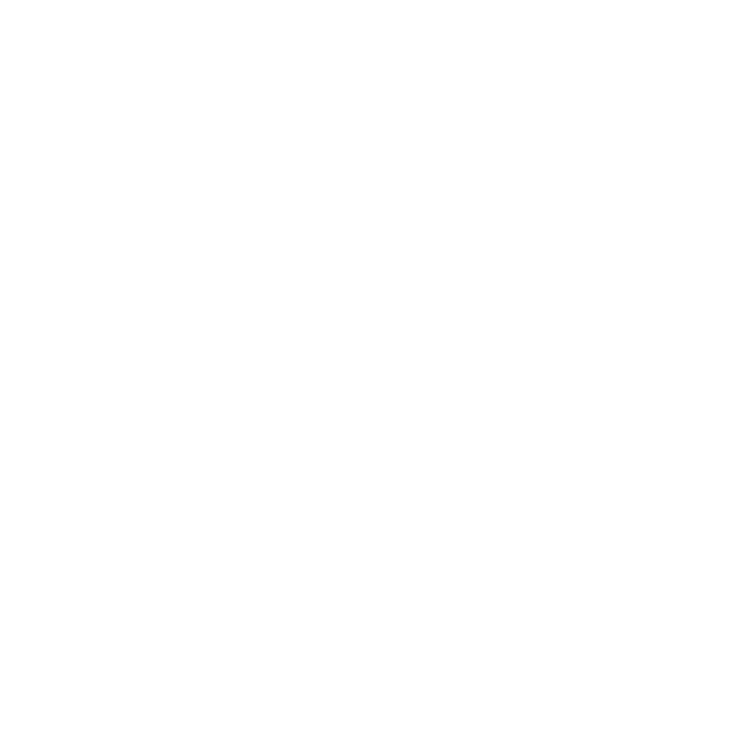 IconZoom2.png